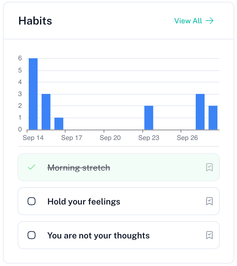 BigPicture habit tracking interface